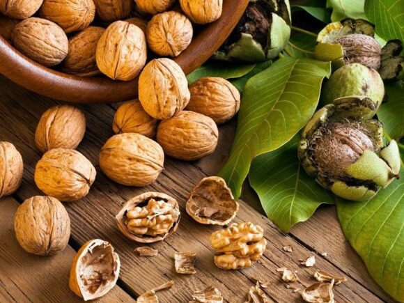 Як правильно планувати оптові закупівлі горіхів під сезонність